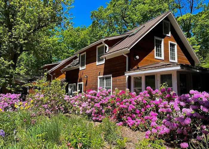 Goldberry Woods- A Modern Farm Resort